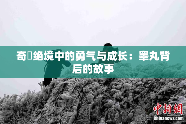 奇犽绝境中的勇气与成长：睾丸背后的故事