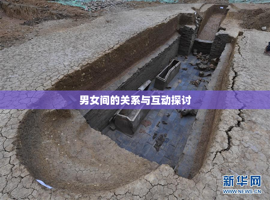 男女间的关系与互动探讨
