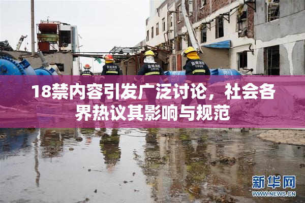18禁内容引发广泛讨论，社会各界热议其影响与规范