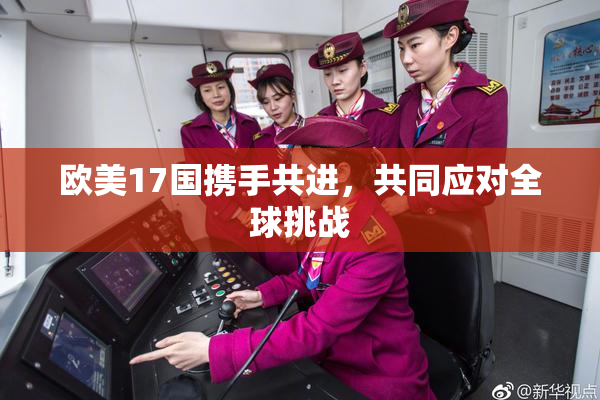 欧美17国携手共进，共同应对全球挑战