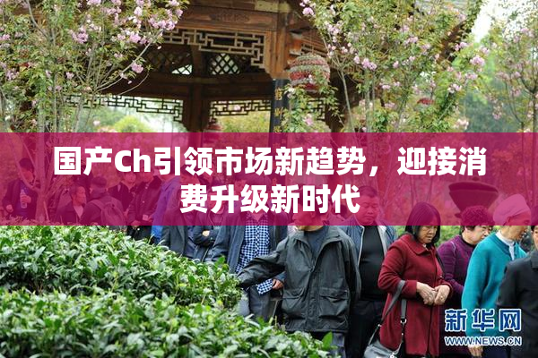 国产Ch引领市场新趋势，迎接消费升级新时代