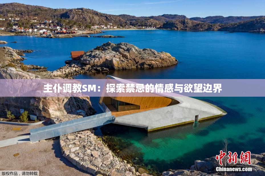 主仆调教SM：探索禁忌的情感与欲望边界