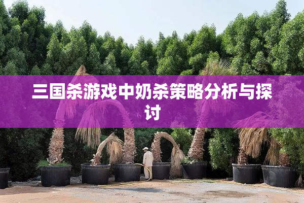 三国杀游戏中奶杀策略分析与探讨