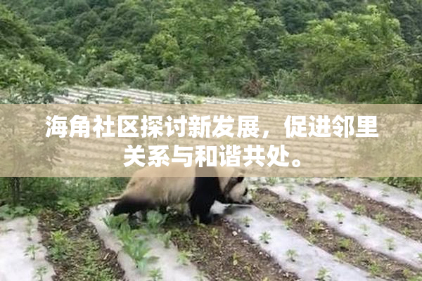 海角社区探讨新发展，促进邻里关系与和谐共处。