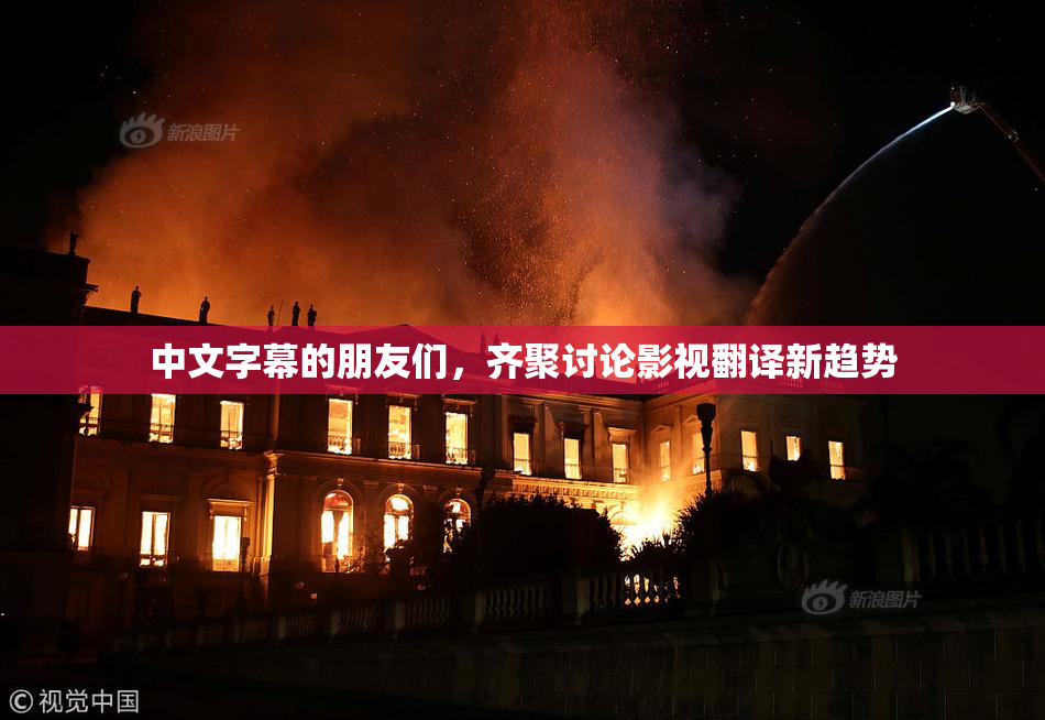 中文字幕的朋友们，齐聚讨论影视翻译新趋势