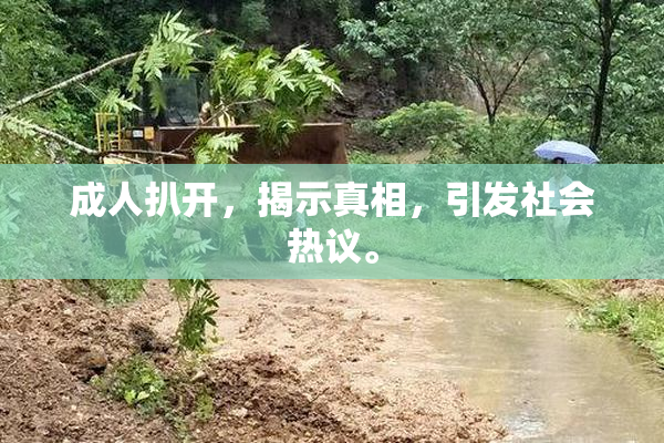 成人扒开，揭示真相，引发社会热议。