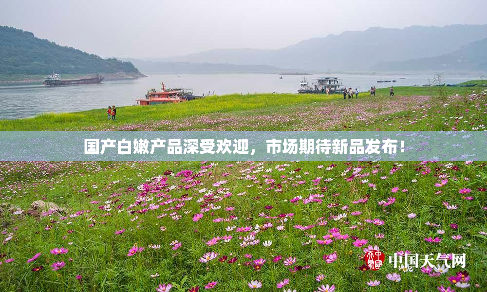 国产白嫩产品深受欢迎，市场期待新品发布！