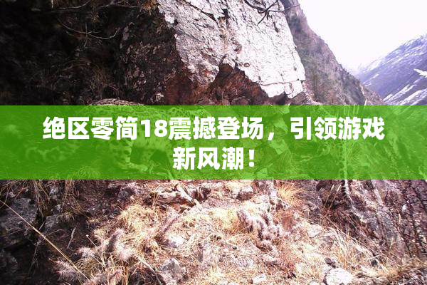 绝区零简18震撼登场，引领游戏新风潮！