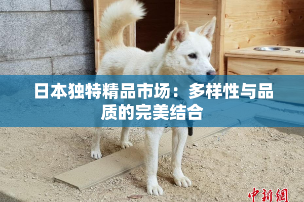 日本独特精品市场：多样性与品质的完美结合