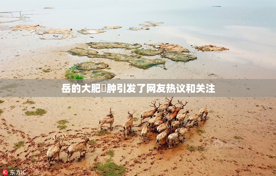 岳的大肥坹肿引发了网友热议和关注