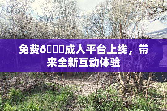 免费🔞成人平台上线，带来全新互动体验