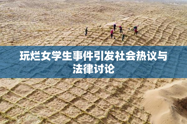 玩烂女学生事件引发社会热议与法律讨论
