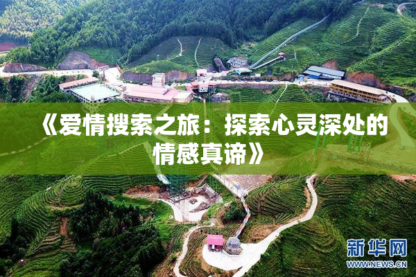 《爱情搜索之旅：探索心灵深处的情感真谛》