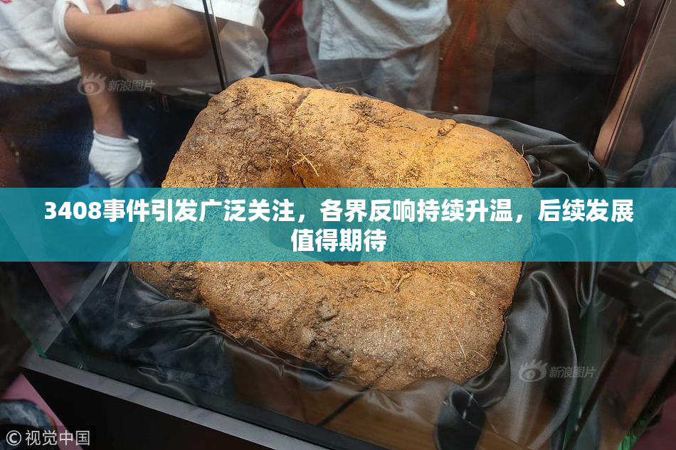 3408事件引发广泛关注，各界反响持续升温，后续发展值得期待