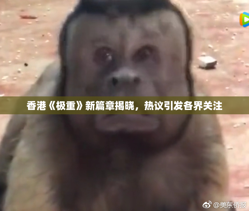 香港《极重》新篇章揭晓，热议引发各界关注