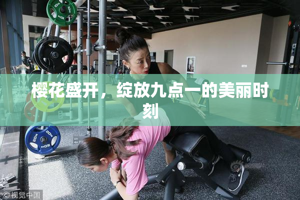 樱花盛开，绽放九点一的美丽时刻