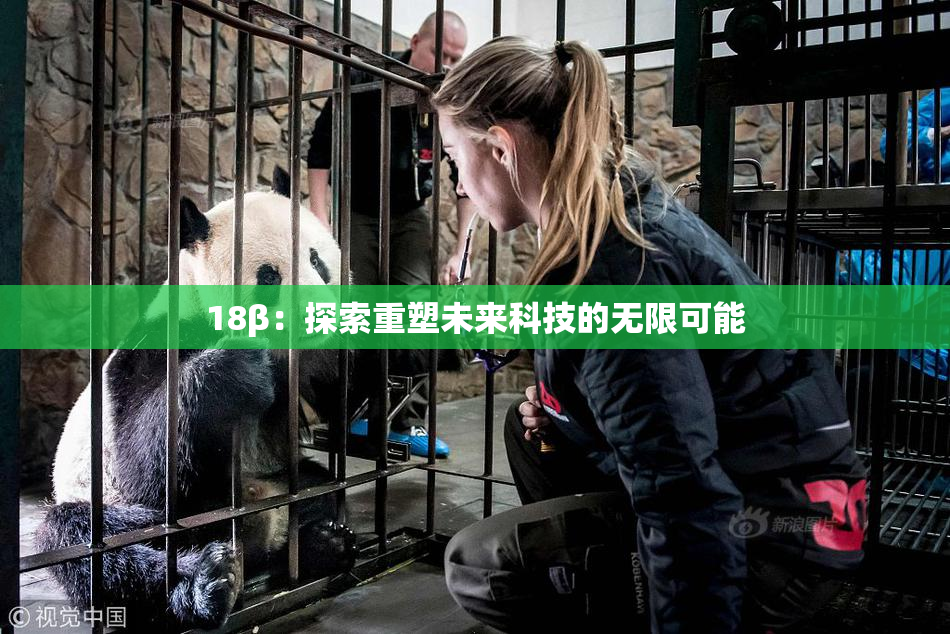 18β：探索重塑未来科技的无限可能