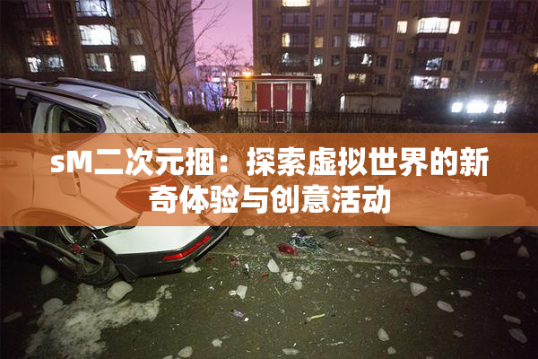 sM二次元捆：探索虚拟世界的新奇体验与创意活动