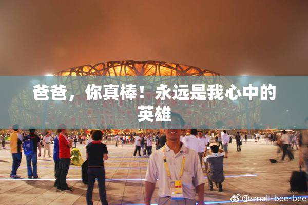 爸爸，你真棒！永远是我心中的英雄