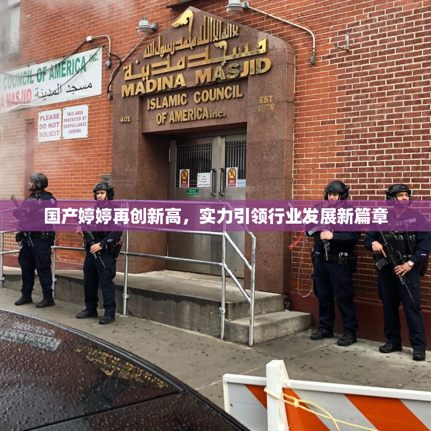 国产婷婷再创新高，实力引领行业发展新篇章