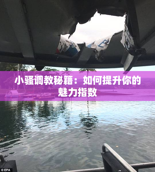 小骚调教秘籍：如何提升你的魅力指数