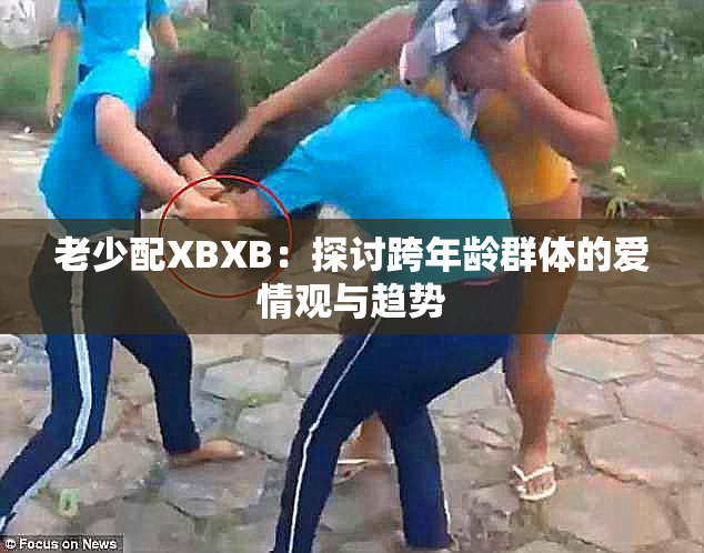 老少配XBXB：探讨跨年龄群体的爱情观与趋势