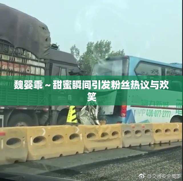 魏婴乖～甜蜜瞬间引发粉丝热议与欢笑