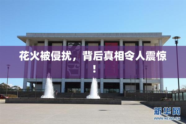 花火被侵扰，背后真相令人震惊！