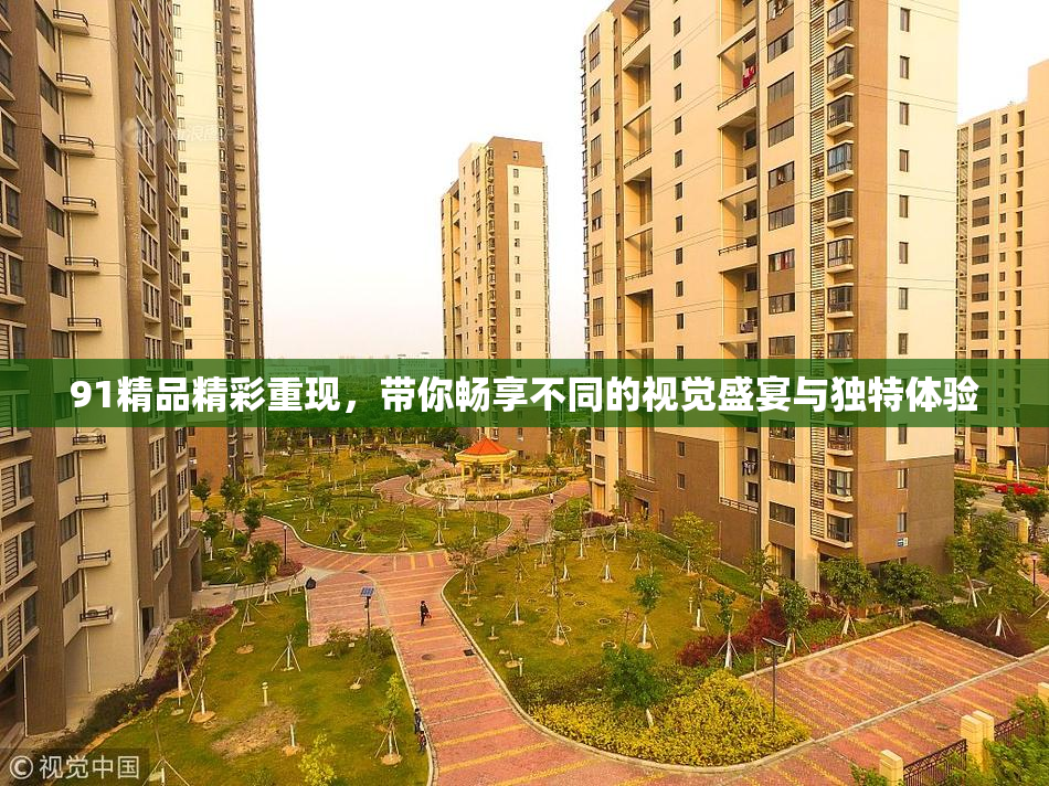 91精品精彩重现，带你畅享不同的视觉盛宴与独特体验