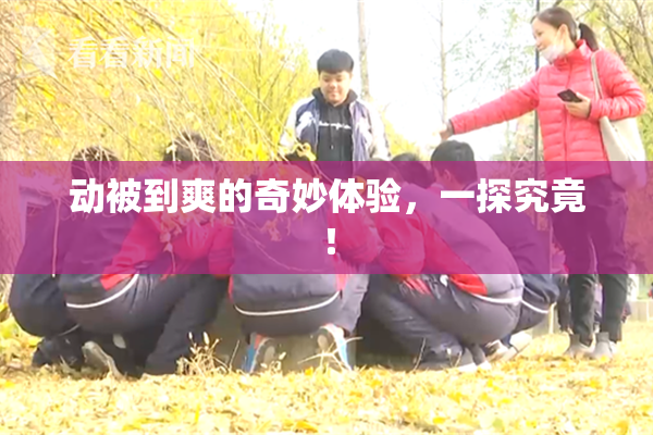 动被到爽的奇妙体验，一探究竟！