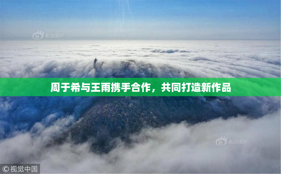 周于希与王雨携手合作，共同打造新作品