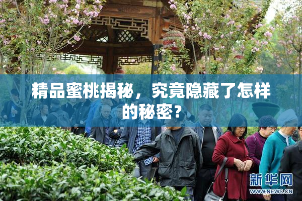 精品蜜桃揭秘，究竟隐藏了怎样的秘密？