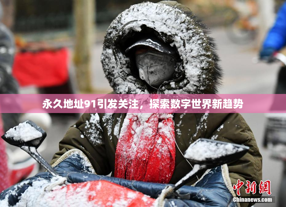 永久地址91引发关注，探索数字世界新趋势