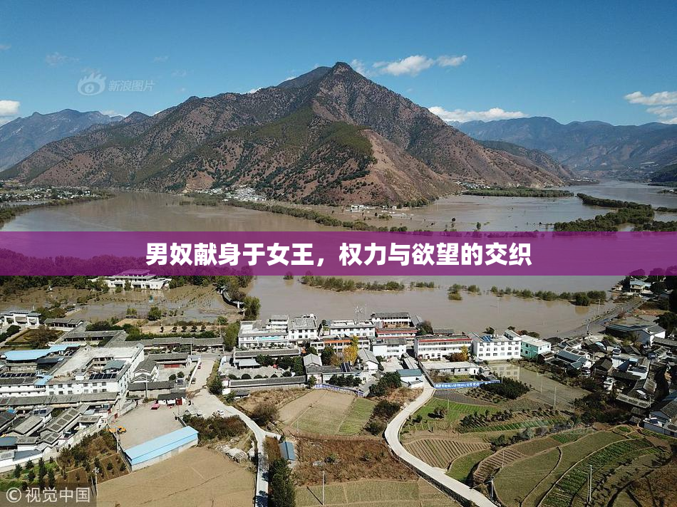 男奴献身于女王，权力与欲望的交织