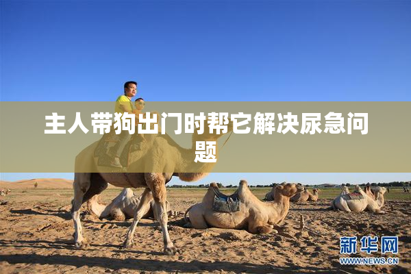 主人带狗出门时帮它解决尿急问题