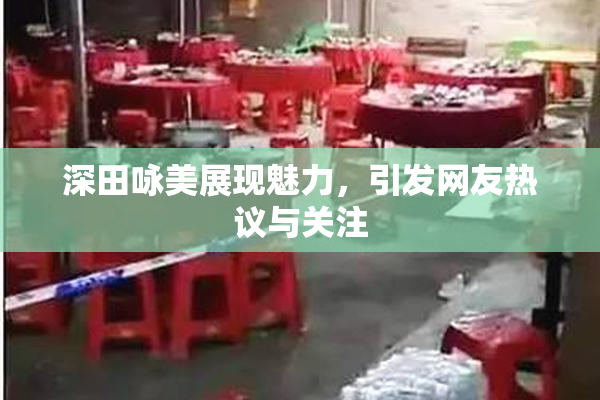 深田咏美展现魅力，引发网友热议与关注