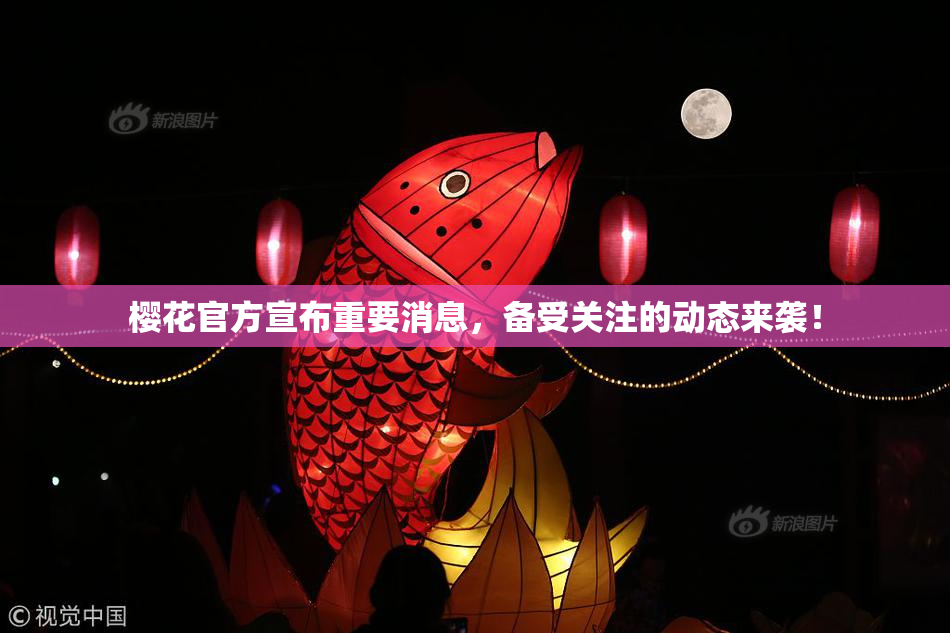 樱花官方宣布重要消息，备受关注的动态来袭！