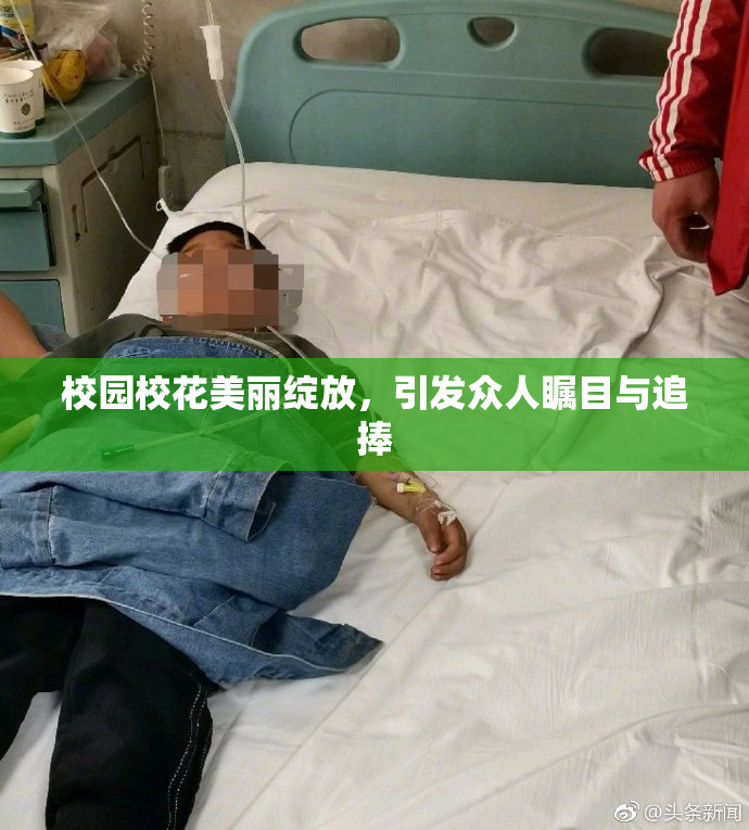 校园校花美丽绽放，引发众人瞩目与追捧