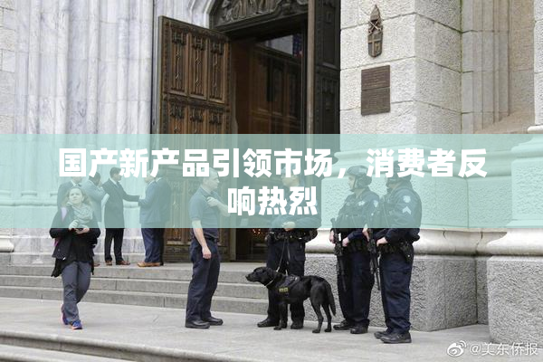 国产新产品引领市场，消费者反响热烈