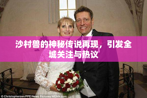 沙村兽的神秘传说再现，引发全城关注与热议