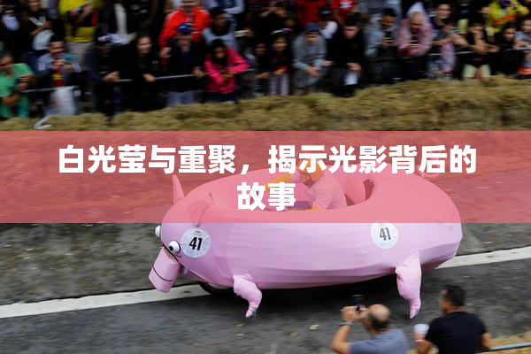 白光莹与重聚，揭示光影背后的故事