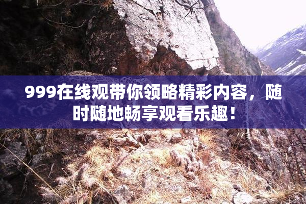 999在线观带你领略精彩内容，随时随地畅享观看乐趣！