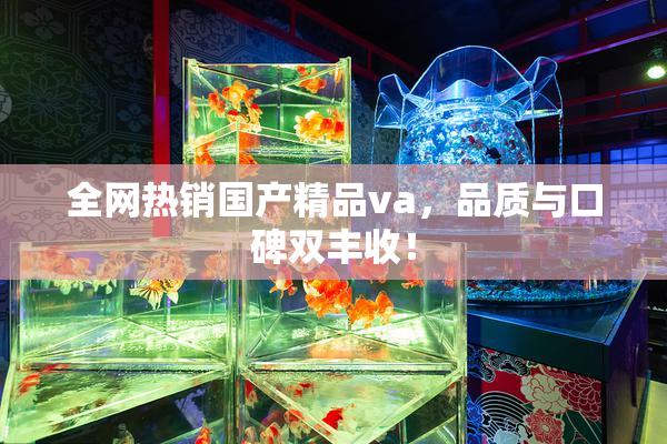 全网热销国产精品va，品质与口碑双丰收！