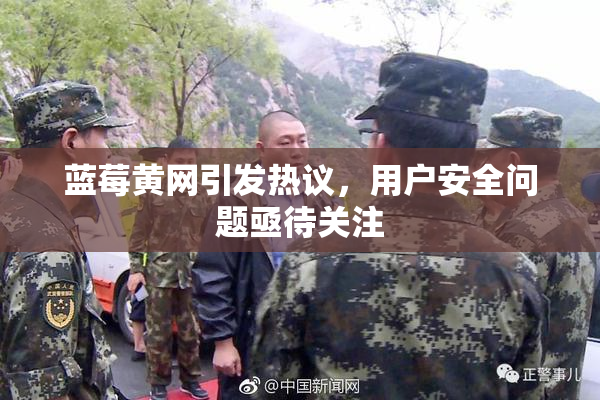 蓝莓黄网引发热议，用户安全问题亟待关注