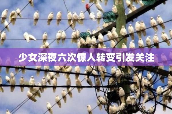 少女深夜六次惊人转变引发关注