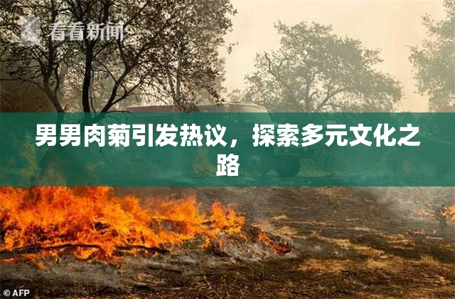 男男肉菊引发热议，探索多元文化之路