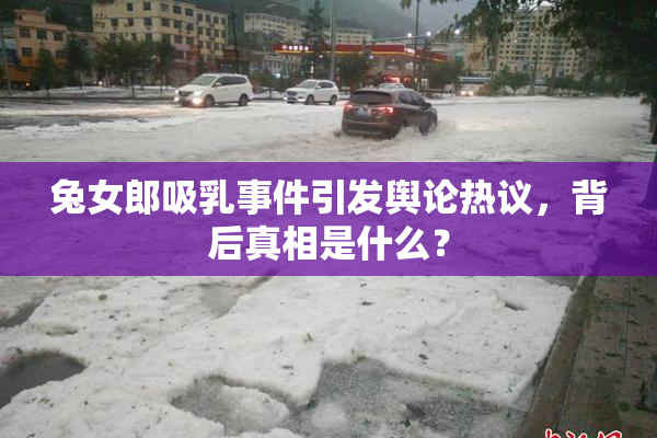 兔女郎吸乳事件引发舆论热议，背后真相是什么？