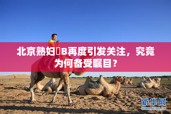 北京熟妇槡B再度引发关注，究竟为何备受瞩目？
