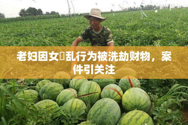 老妇因女婬乱行为被洗劫财物，案件引关注