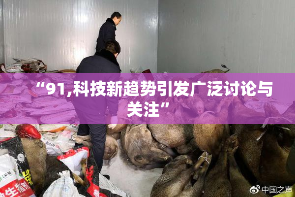 “91,科技新趋势引发广泛讨论与关注”